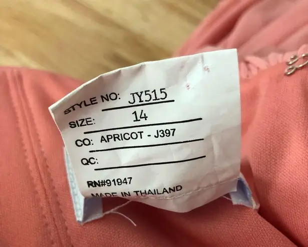 Jenny Yoo Full Length Convertible Chiffon Dress Gown Apricot size 14 NWT JY515