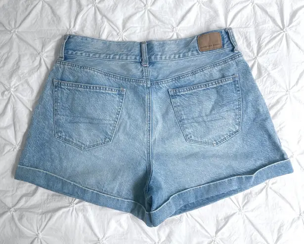 American Eagle Pleated Denim Shorts 