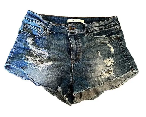 Eunina High Rise cut off distressed denim shorts