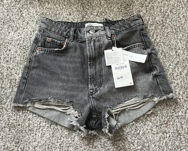 ZARA High Waisted Shorts