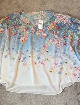 Sweaters & Knits image