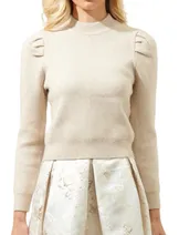 Sweaters & Knits image