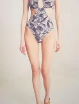 Swimwear image