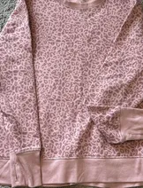 Sweaters & Knits image