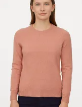 Sweaters & Knits image