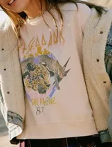 Sweaters & Knits image