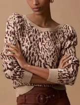 Sweaters & Knits image