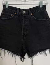 Shorts image