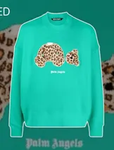 Sweaters & Knits image