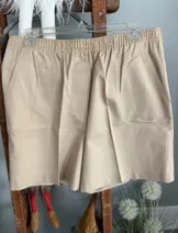 Shorts image
