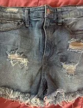 Skirts & Skorts image