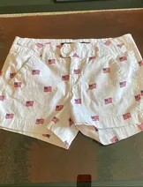 Shorts image