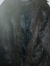 Jackets & Coats image