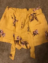 Shorts image