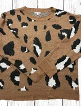 Sweaters & Knits image