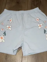 Shorts image