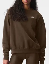 Sweaters & Knits image