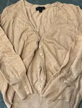 Sweaters & Knits image