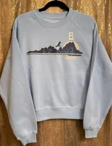 Sweaters & Knits image