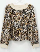 Sweaters & Knits image