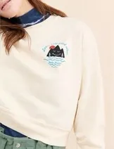 Sweaters & Knits image