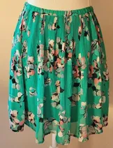 Skirts & Skorts image