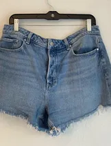 Shorts image