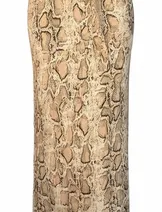 Skirts & Skorts image