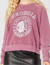 Sweaters & Knits image