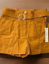 Shorts image