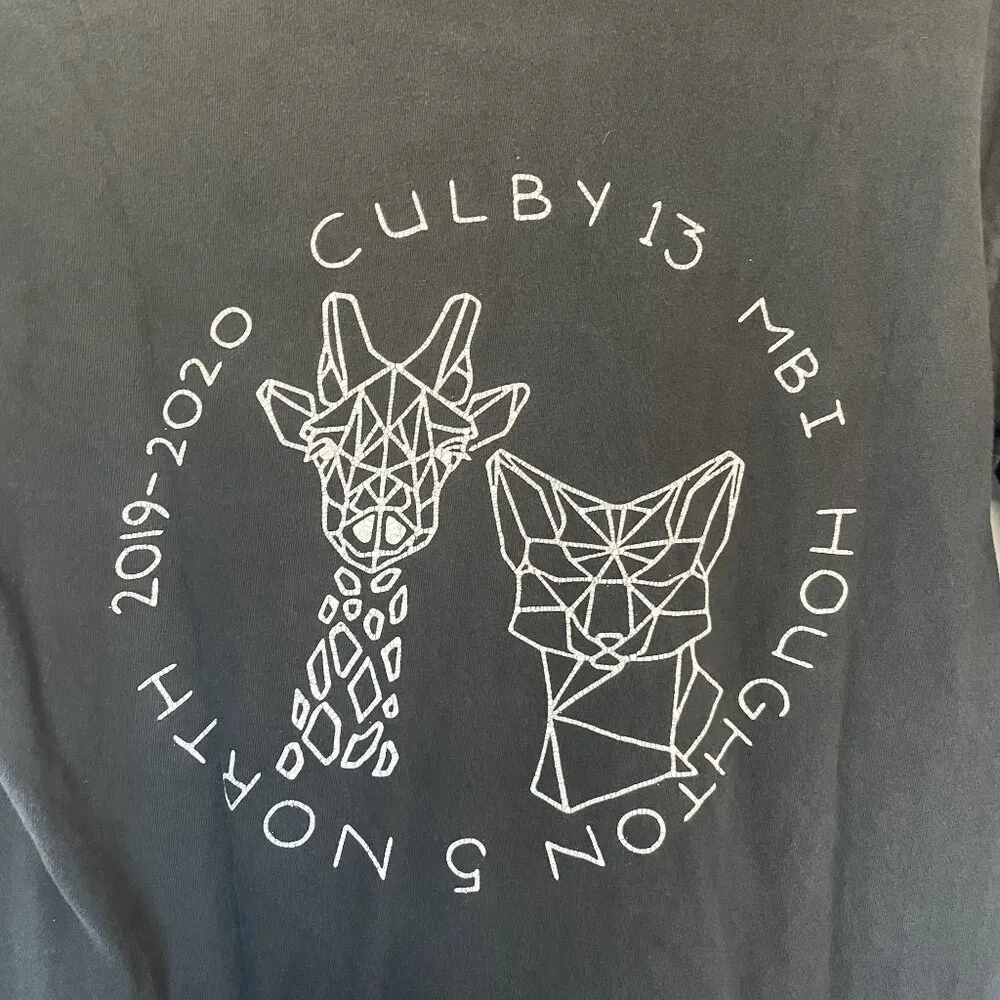 Comfort Colors Long Sleeve T-Shirt With Esther 4:14 Graphic In Charcoal women's - Image 7