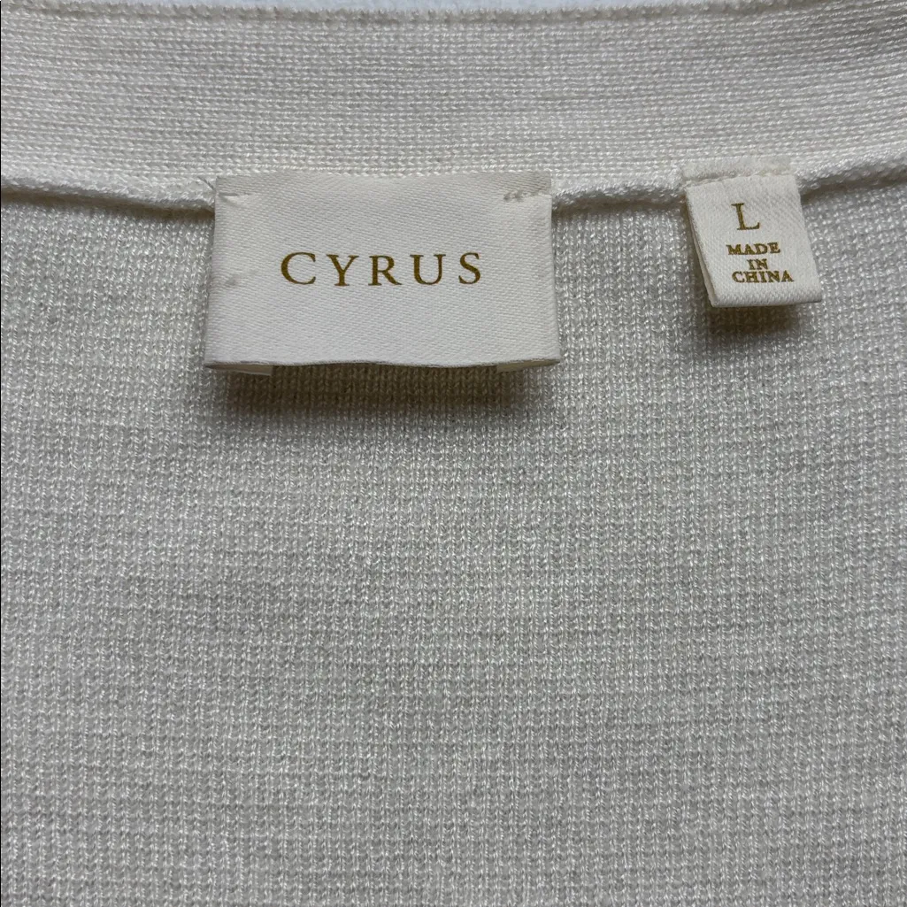 Cyrus Striped Cardigan - Size L - Image 4