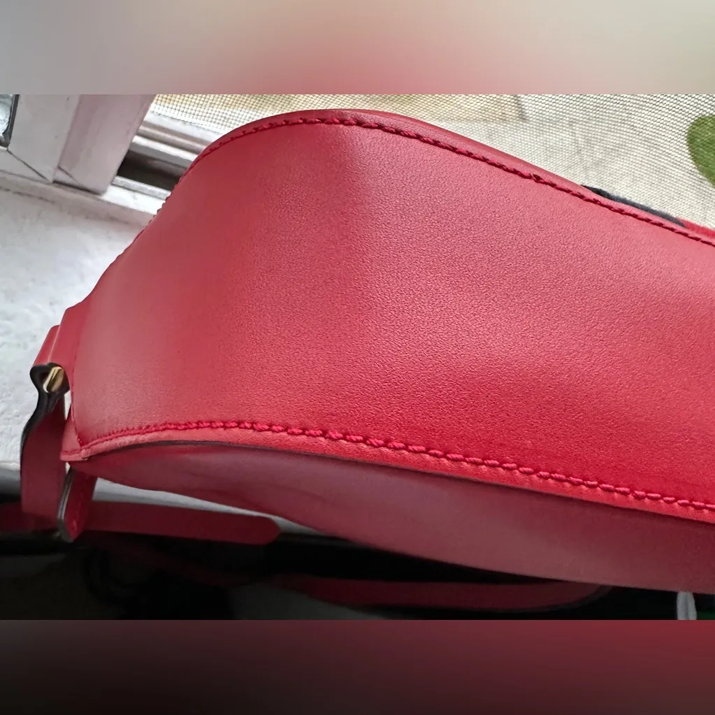 Gucci Webby Bee Crossbody Camera Bag - Red/Navy - Image 11