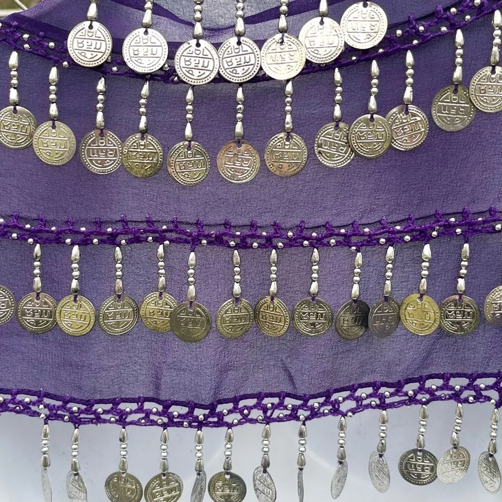 Purple belly dancer coin scarf - Image 5