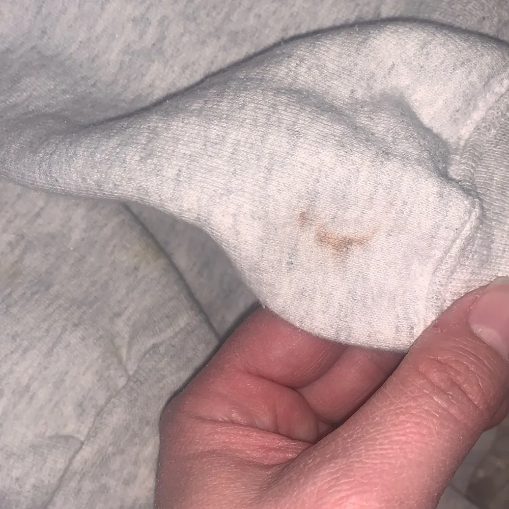 Vintage Seahorse Aquarium Pullover Sweatshirt Crew Dolphin Shirt Co 80s 90s Med - Image 11