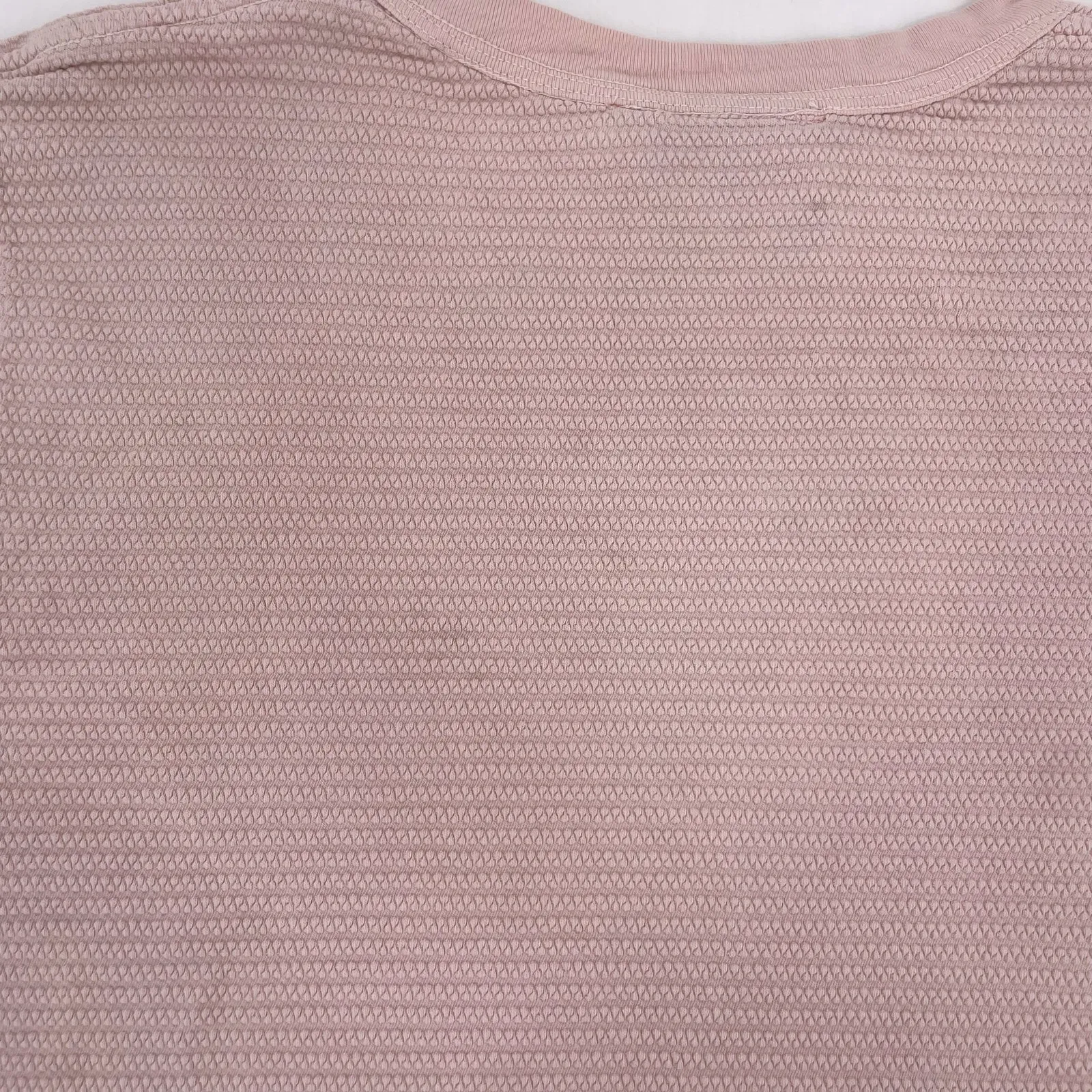 Big Bud Press Thrashed Honeycomb Crop Tee Faded Powder Pink Short Sleeve Top L Size L - Image 10