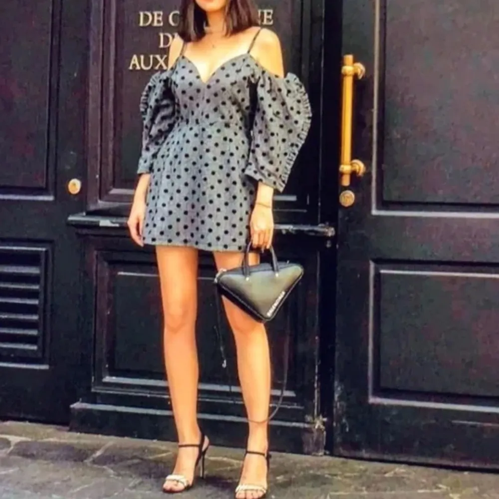 NWT Delphine The Label Hear Me Howl Polka Dot Dress in Gray 4 - Image 5