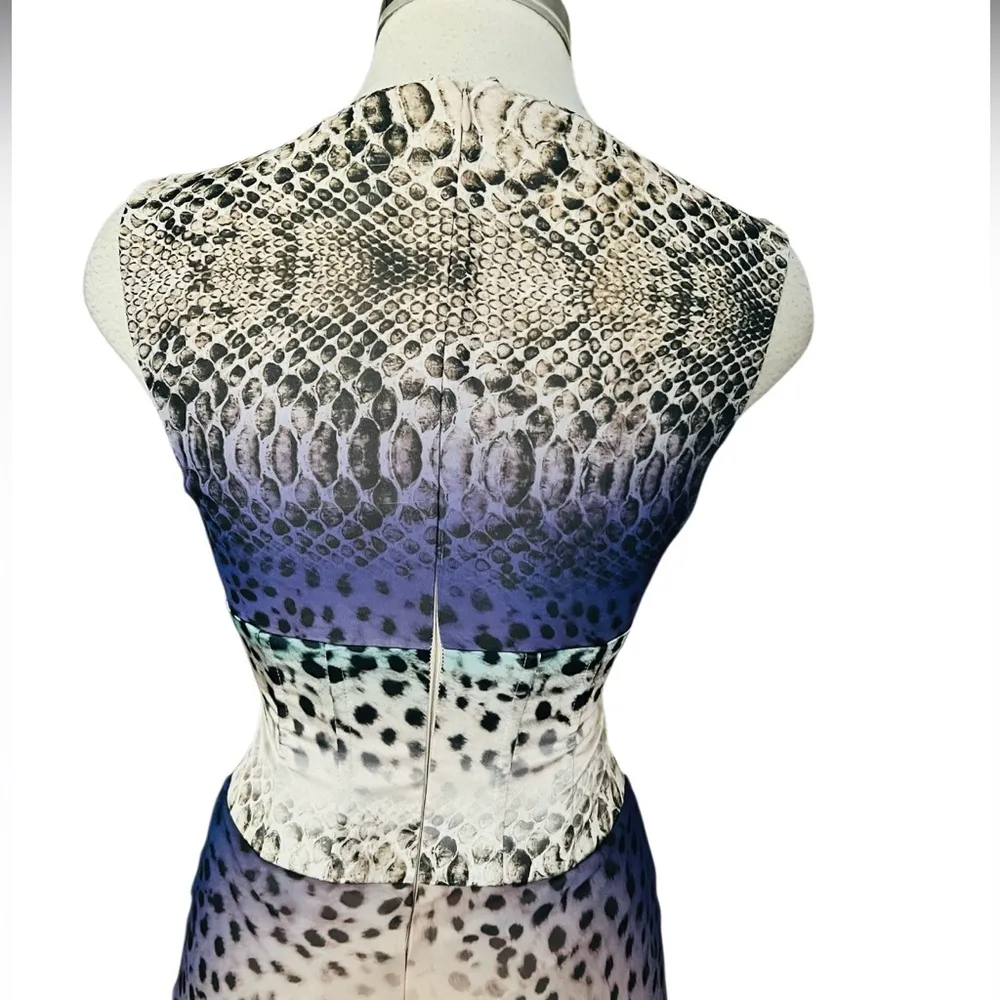 MARCIANO Vintage Color Block Animal Print V Neck Maxi Dress Size 0 - Image 6