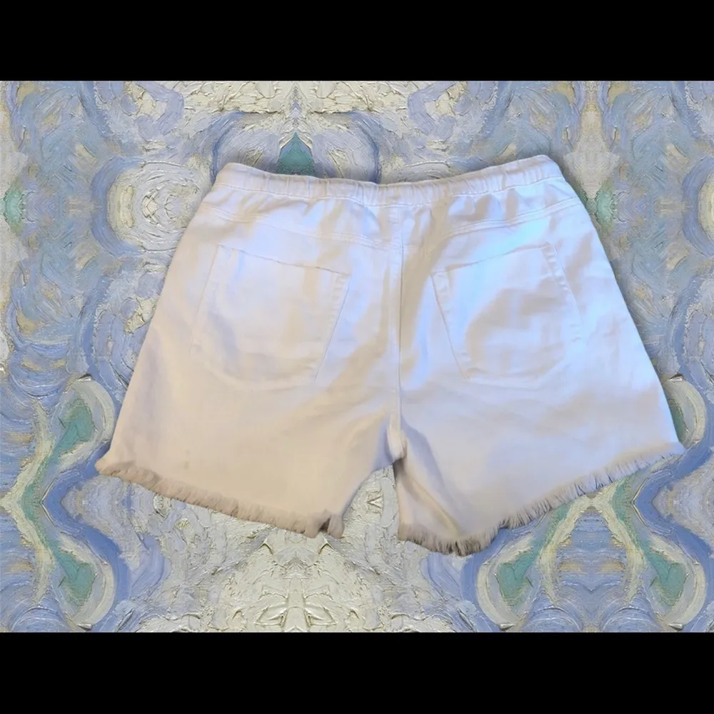 Aerie Fringe Shorts White Drawstring Waist M Casual Beach Backyard Barbecue - Image 2