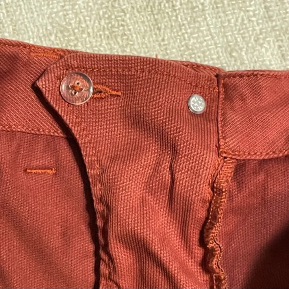 Cabi The Drifter Bloom Rust Colored Cargo Pants - Image 9