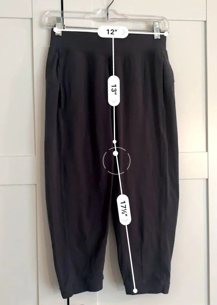 Lululemon women’s high rise align jogger crops great size 4 - Image 5