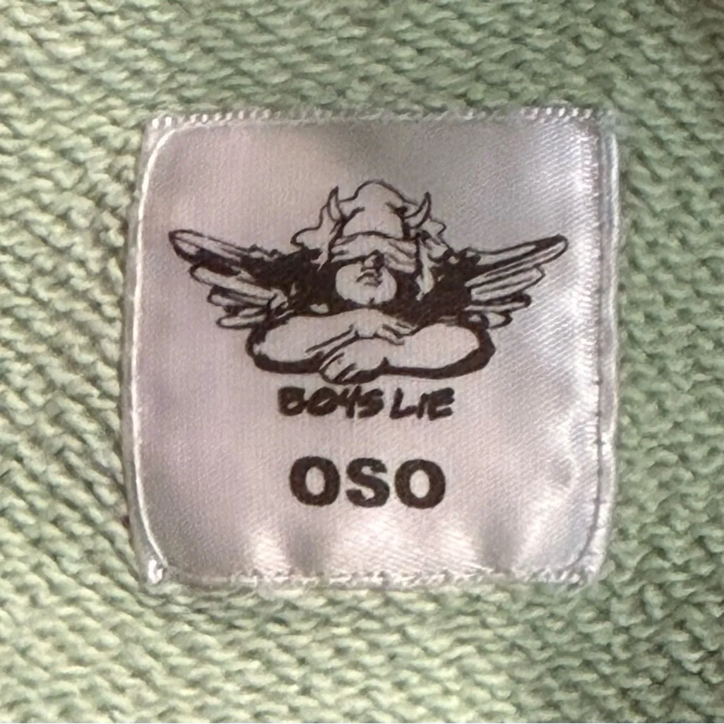Rare BOYS LIE GET BLOCKED MINT GREEN Sweatshirt Graphic Oversized‎ HOODIE OS - Image 5