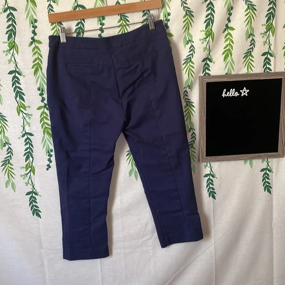 Navy Adrianna Papell Skinny Ankle Dress Pants A5 - Image 3