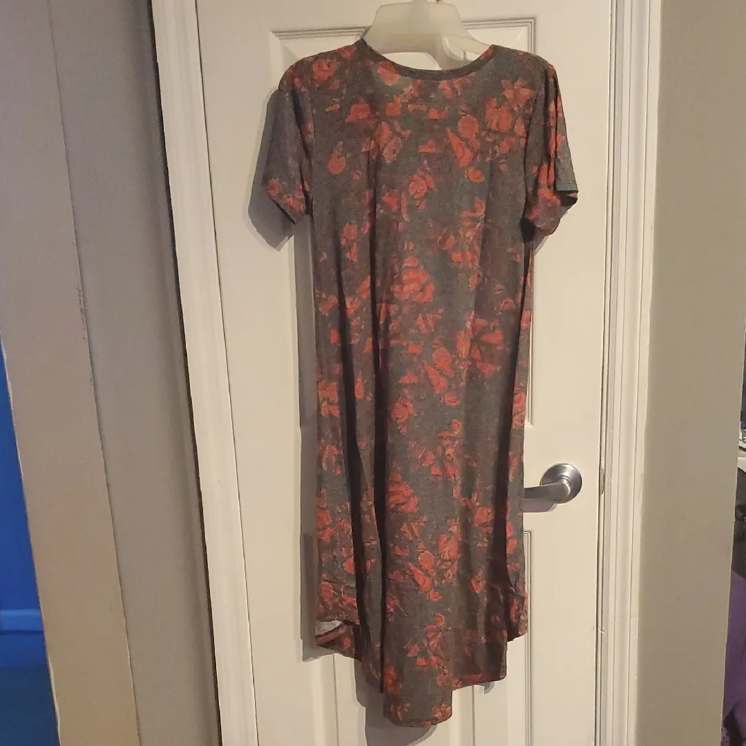 LuLaRoe Carly Dress - Image 3