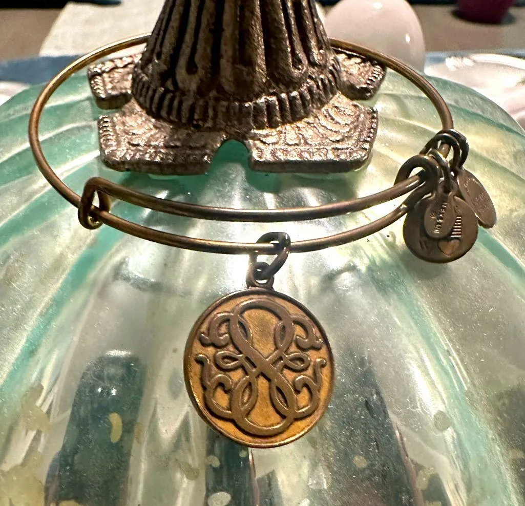 Alex and Ani Path of Life Charm Bangle in Gold-Tone Brass - Image 2