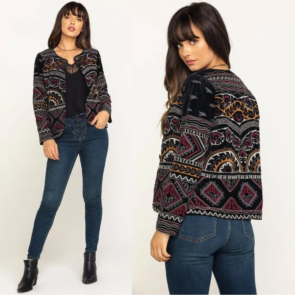 Johnny Was  Workshop Blair Velvet Embroidered Statement Blazer Coat Jacket Small - Image 3