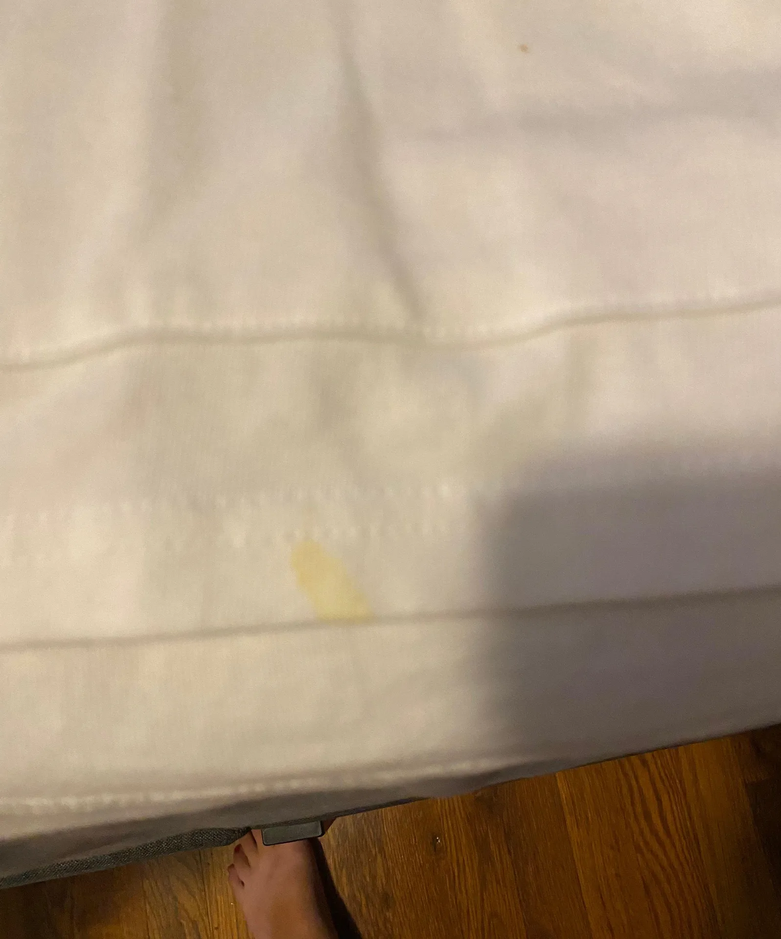 Champion Hoddie - Image 2