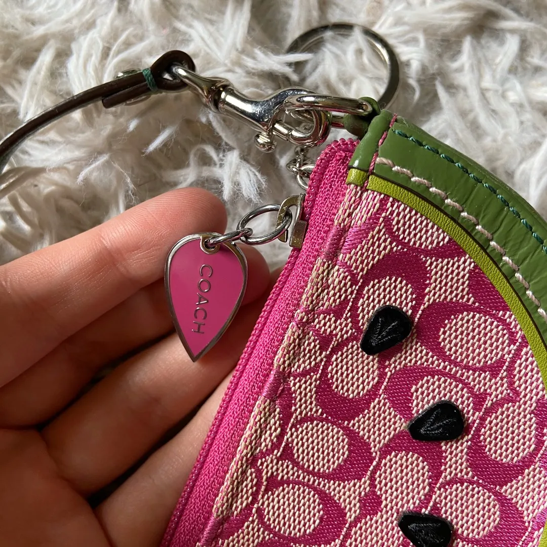 Watermelon Coin Pouch - Image 3