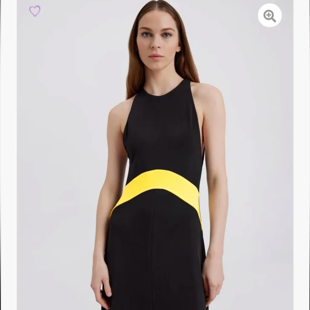 Solid & Striped x Sofia Richie Grainge The Jonati Dress - Image 2