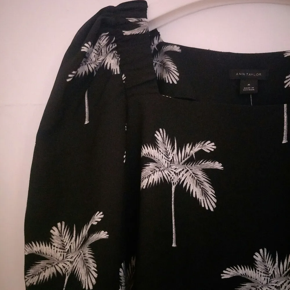 New Plam Tree Top Anne Talor - Image 5